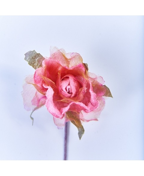 Floare trandafir decorativ fuxia